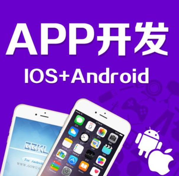 成都武侯區(qū)app開發(fā)公司哪家好