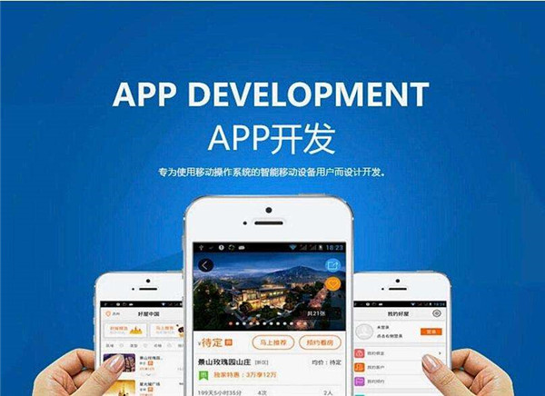 定制的app軟件開發(fā)報價無法降低的原因